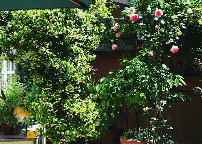 Viadelloca35 *
